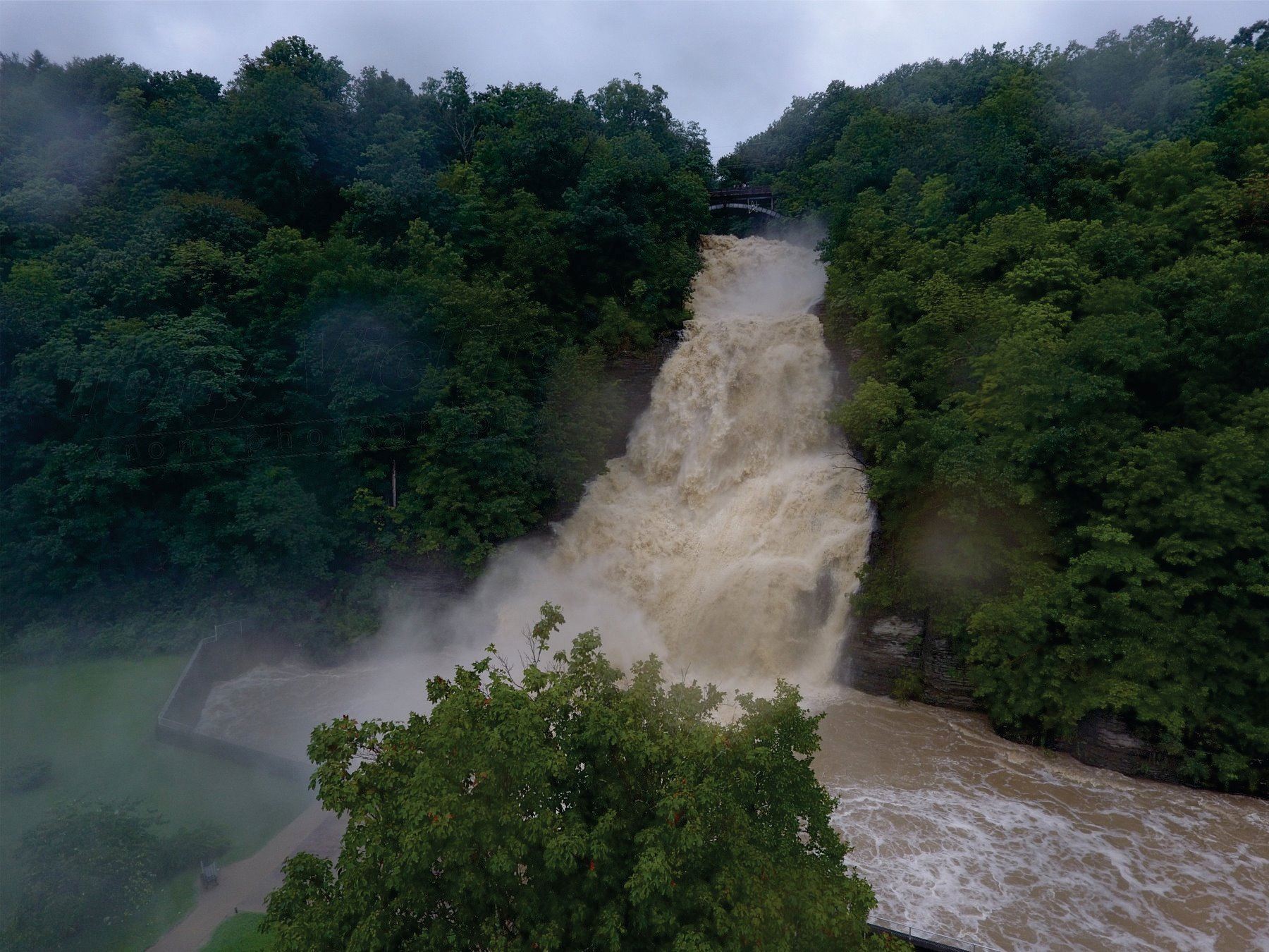 39249581_1876686262414606_8341290804861468672_o