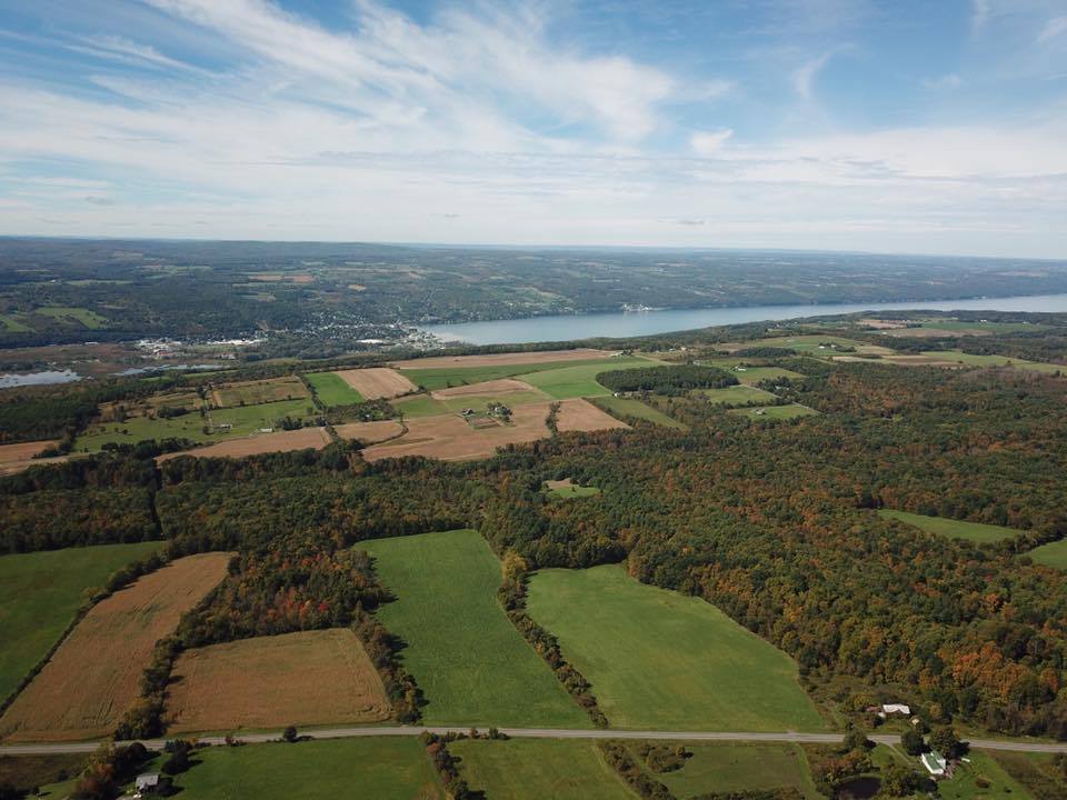 Town of Hector taken by Patrick Tomassi